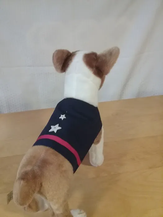 my best in show Picture 7