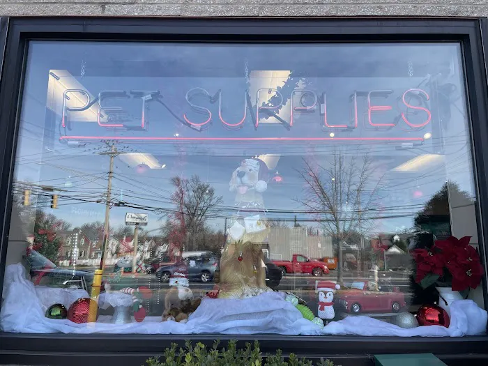 Playful Paws Pet Supply Picture 5