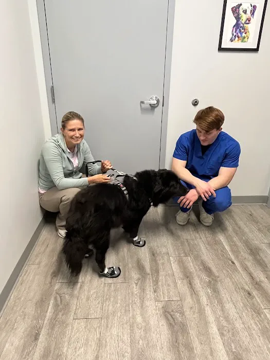 Sunflower Veterinary Center Picture 2