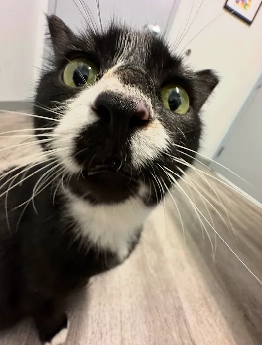 Sunflower Veterinary Center Picture 4