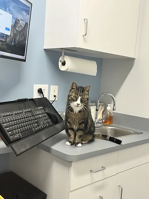 Sunflower Veterinary Center Picture 6
