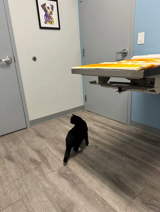 Sunflower Veterinary Center Picture 7