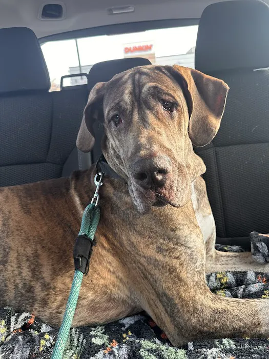 Sunflower Veterinary Center Picture 8