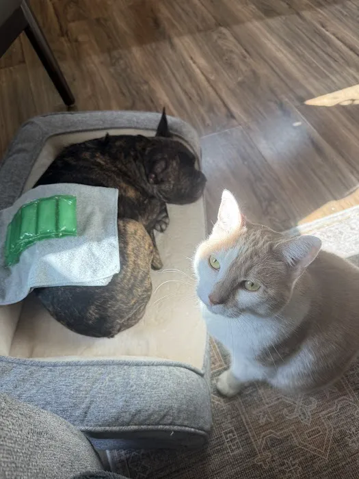 Sunflower Veterinary Center Picture 10