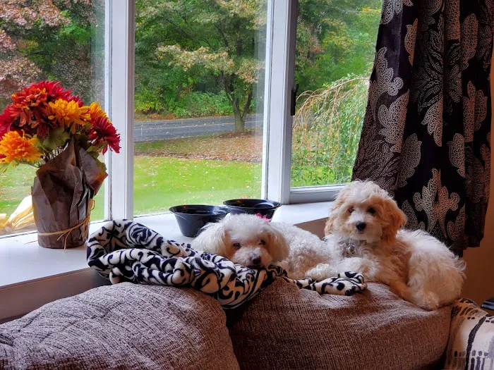 Highgrove Veterinary Hospital Picture 5