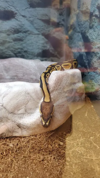 Petco Picture 2