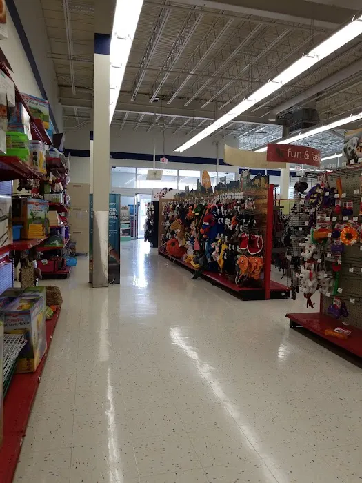 Petco Picture 3