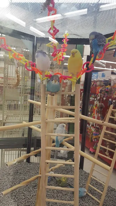 Petco Picture 6