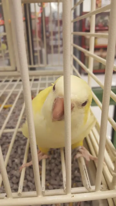 Petco Picture 7