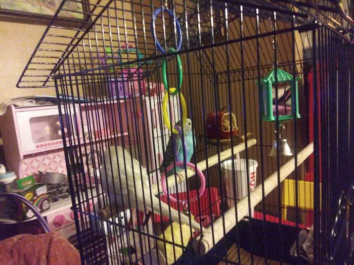 Petco Picture 10