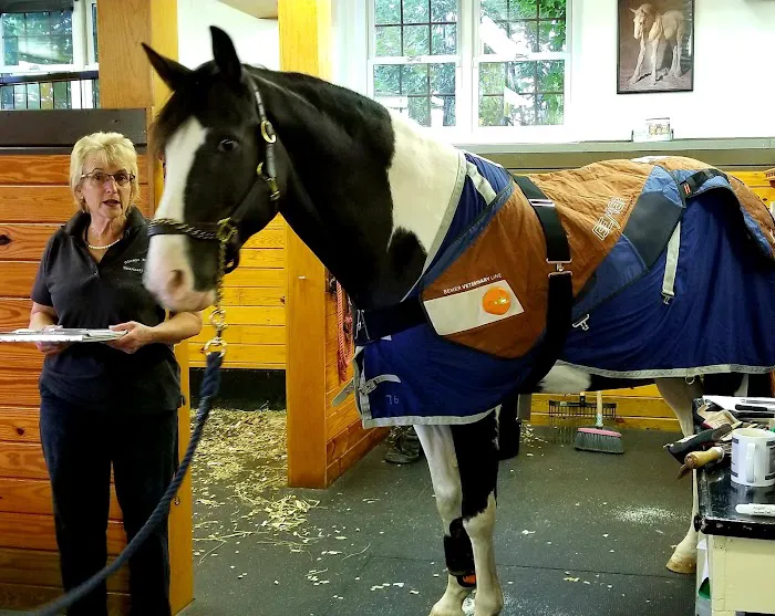 Always Helpful Veterinary Services Picture 3