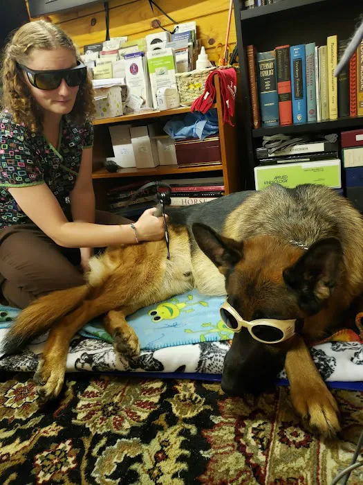 Always Helpful Veterinary Services Picture 5