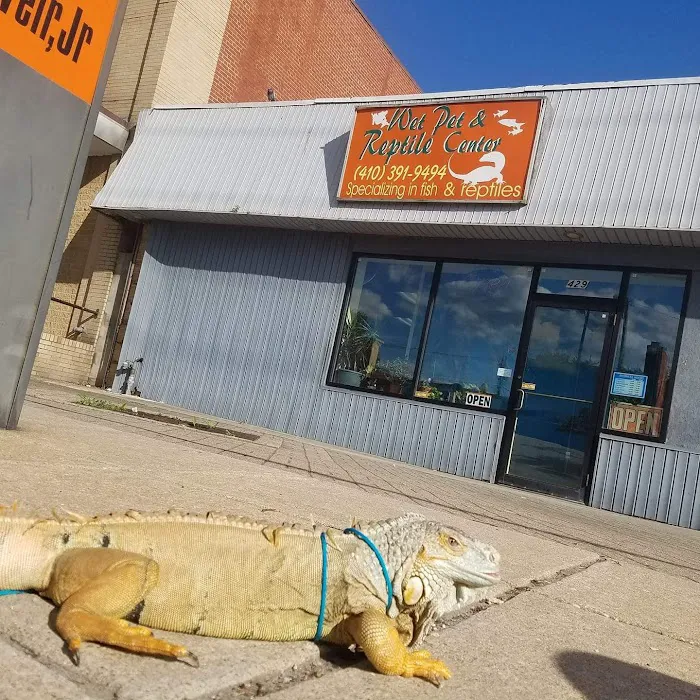 Wet Pet & Reptile Center now Tipping the Scales Picture 1