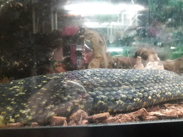 Wet Pet & Reptile Center now Tipping the Scales Picture 3