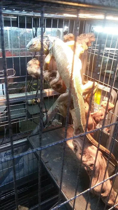 Wet Pet & Reptile Center now Tipping the Scales Picture 2