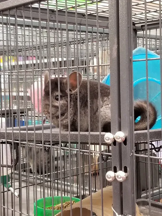 Wet Pet & Reptile Center now Tipping the Scales Picture 4