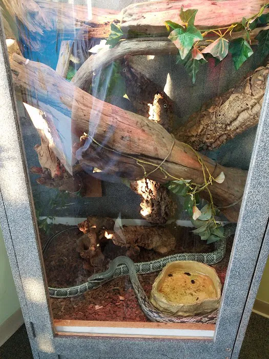 Wet Pet & Reptile Center now Tipping the Scales Picture 6