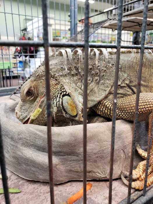Wet Pet & Reptile Center now Tipping the Scales Picture 5