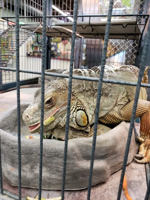 Wet Pet & Reptile Center now Tipping the Scales Picture 8