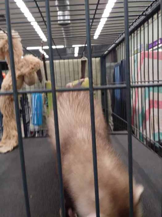 Wet Pet & Reptile Center now Tipping the Scales Picture 7