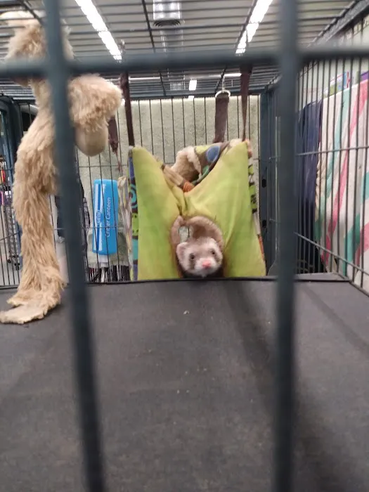 Wet Pet & Reptile Center now Tipping the Scales Picture 10