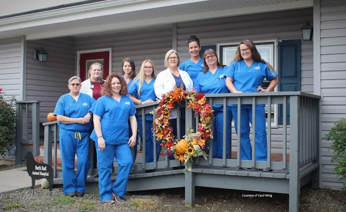 North East Animal Hospital Picture 3