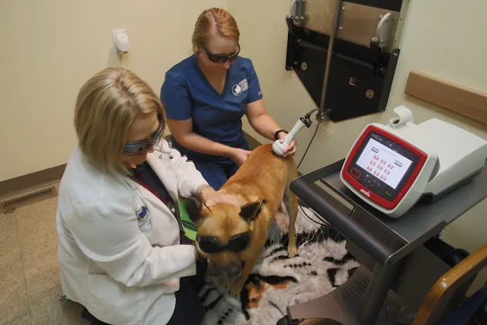 North East Animal Hospital Picture 10
