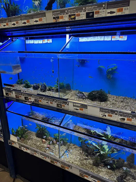 Petco Picture 2