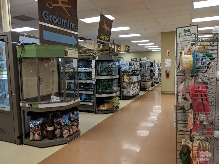Petco Picture 5