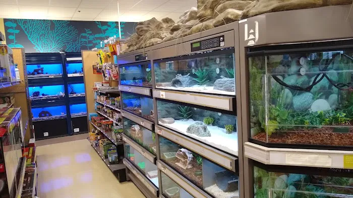 Petco Picture 7