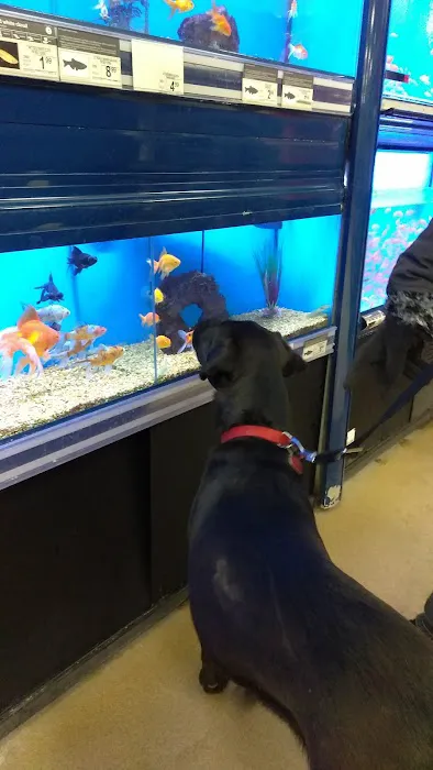 Petco Picture 6