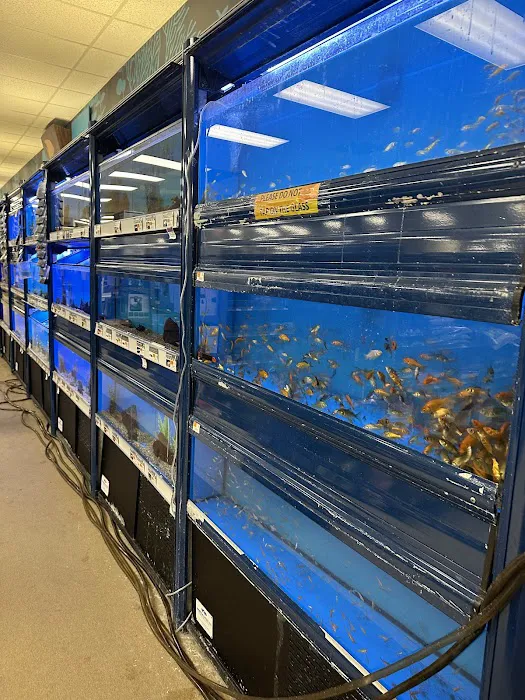 Petco Picture 10