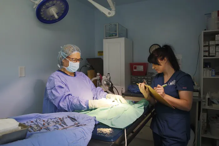 North East Animal Hospital: Dr. Jennifer Howell Picture 2