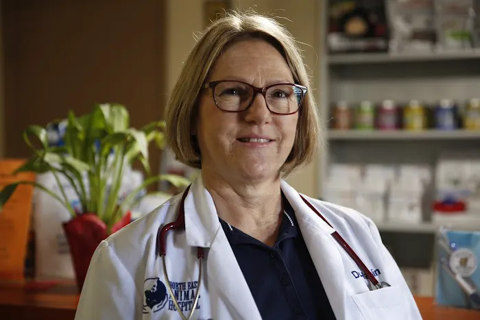 North East Animal Hospital: Dr. Jennifer Howell Picture 6