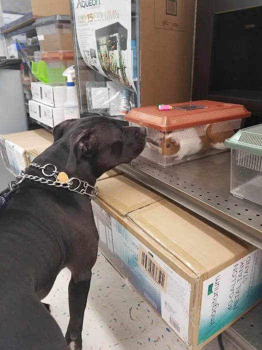 Petco Picture 5
