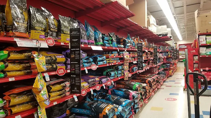 Petco Picture 3