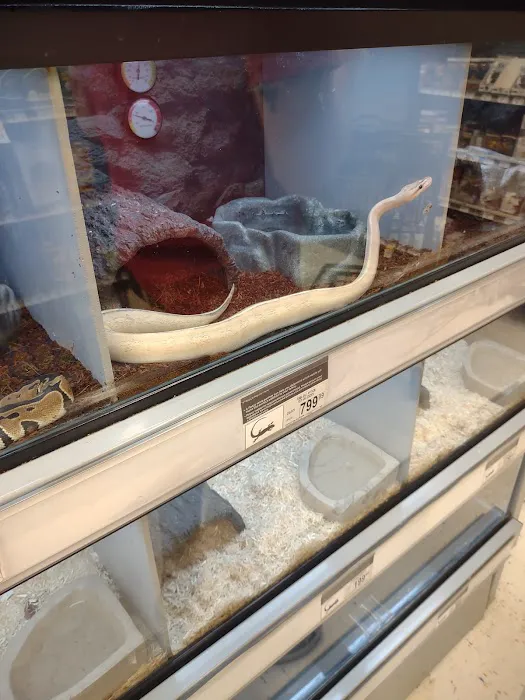 Petco Picture 7