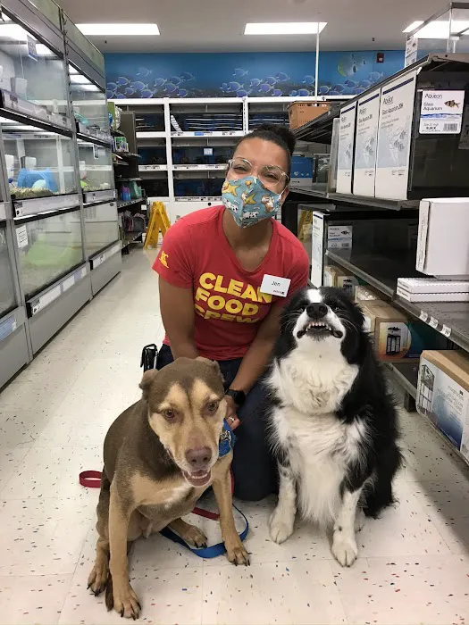 Petco Picture 8