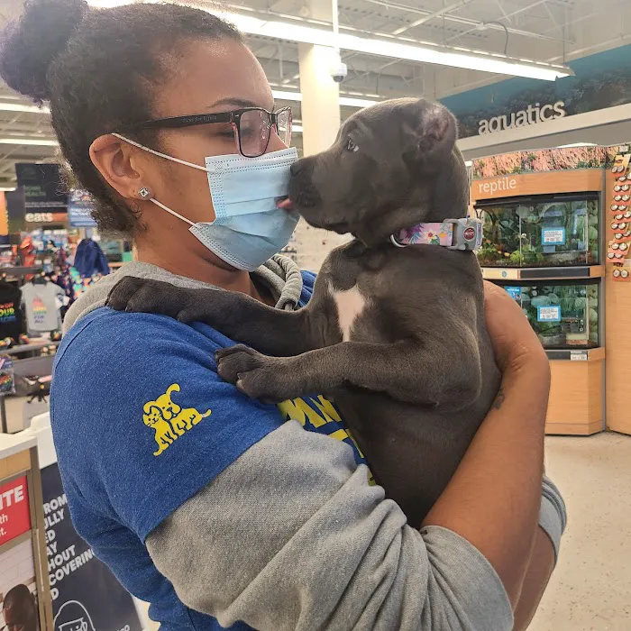 Petco Picture 10