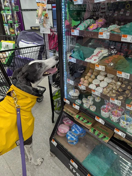 Pet Supplies Plus Groton Picture 3