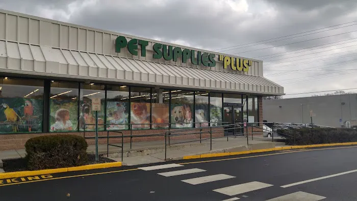 Pet Supplies Plus Groton Picture 4