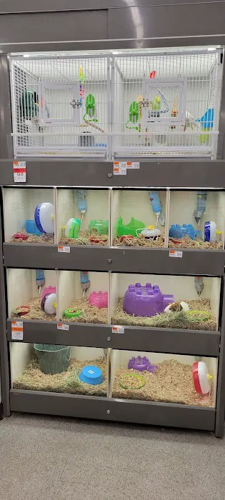Pet Supplies Plus Groton Picture 5