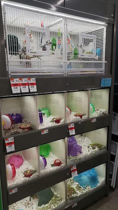 Pet Supplies Plus Groton Picture 9