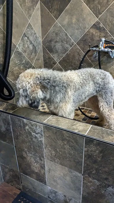 Wagging Tails Pet Shop Picture 2