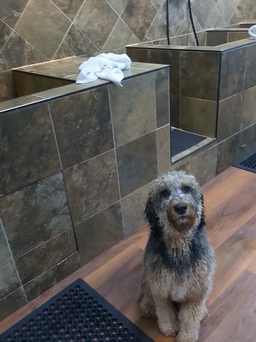 Wagging Tails Pet Shop Picture 7