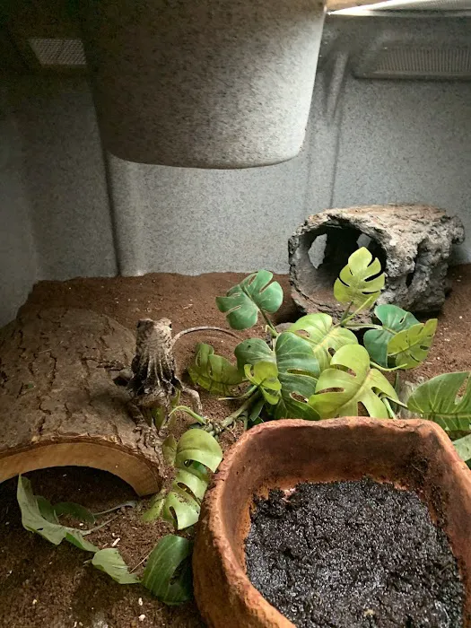 Rhonda's Reptiles Picture 6