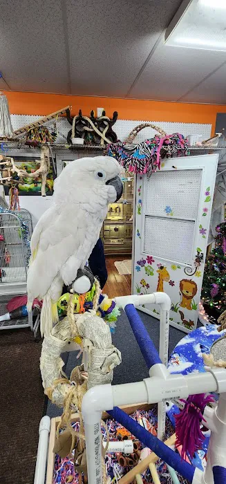 Rensselaer Bird Center Picture 3