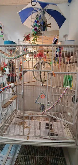 Rensselaer Bird Center Picture 4