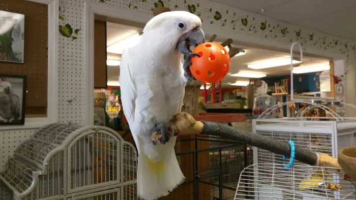 Rensselaer Bird Center Picture 5