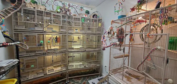Rensselaer Bird Center Picture 7